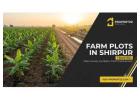 Established Agricultural Land in Shirpur — Find Fertile Farm Plots | Propertzz