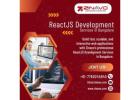 ReactJS Development Services Company Bangalore | Custom Django Development