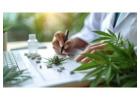  Bookkeeping for Dispensaries