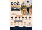 Dog Walking Services