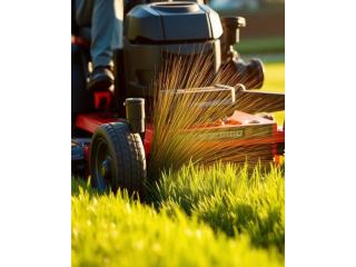 Efrain Lawn Service: Lawn Mowing Services in Central Valley for Picture-Perfect Lawns