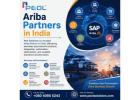 Ariba Partners in India