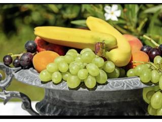 Free Health & Wellness Guide – Transform Your Routine Today
