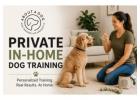 Private In-Home Dog Training | About A Dog