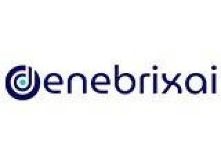 Denebrix AI | Intelligent AI Solutions for Business Growth
