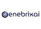  Denebrix AI | Intelligent AI Solutions for Business Growth