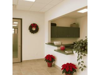 Why Choose Tenant Improvement Service Las Vegas
