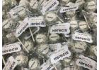 Logo Cake Pops for Corporate Events and Branded Business Gifts