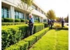 Give Your Orlando Property a Fresh and Welcoming Outdoor Look