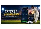 Find the best cricket betting app in India