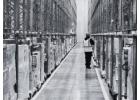 Warehouse Cleaning Guide: How to Clean a Warehouse Properly