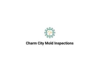 Charm City Mold Inspections
