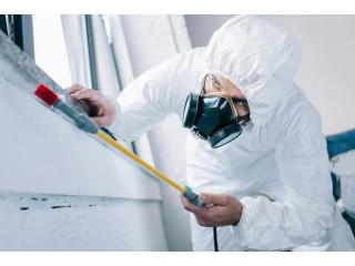 Jaipur Bedbugs Control Services for Homes & Businesses