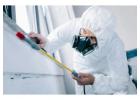 Jaipur Bedbugs Control Services for Homes & Businesses