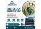 Expert Sociology Assignment Support for Students