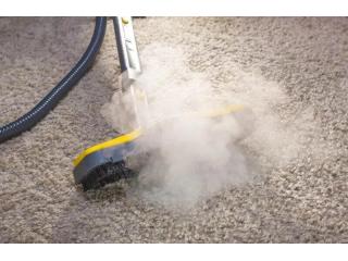 Count on the Carpet Steam Cleaning Specialist Adelaide