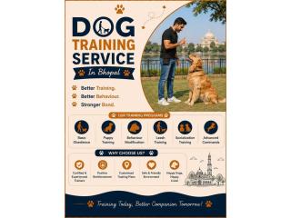 Dog Training Service