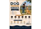 Dog Training Service