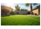 Premium Greenery Solutions for Homes & Outdoor Spaces 