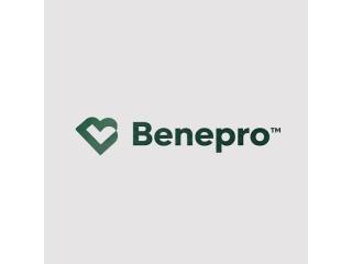 BENEPRO The Benefit Professionals
