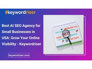 Best AI SEO Agency for Small Businesses in USA: Grow Your Online Visibility - Keywordriser