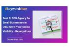 Best AI SEO Agency for Small Businesses in USA: Grow Your Online Visibility - Keywordriser