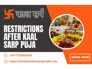 Trimbakeshwar Kaal Sarp Puja For Traditional Remedies