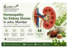 Homeopathy for Kidney Stones in Juhu, Mumbai
