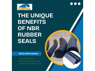 The Unique Benefits of NBR Rubber Seals