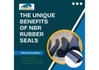 The Unique Benefits of NBR Rubber Seals