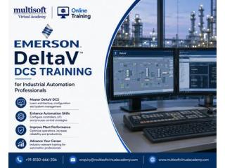 Emerson DeltaV DCS Training for Industrial Automation Professionals