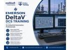 Emerson DeltaV DCS Training for Industrial Automation Professionals