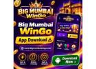 Big Mumbai WinGo App Download – Easy Install, Secure Login & Access
