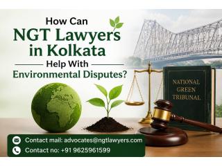 How Can NGT Lawyers in Kolkata Help With Environmental Disputes?