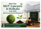 How Can NGT Lawyers in Kolkata Help With Environmental Disputes? 