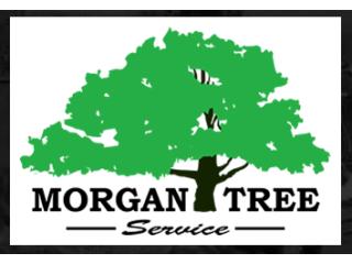 Get Land Clearing Services & Vegetation Management Today!