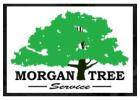 Get Land Clearing Services & Vegetation Management Today!