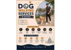 Dog Walking