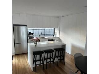 Professional Building Inspections Hamilton for Safer Property Choices
