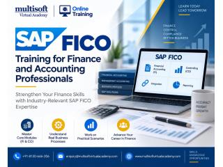 SAP FICO Training for Finance and Accounting Professionals
