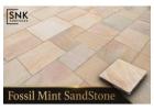 Professional Fossil Mint Indian Sandstone UK