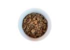 Quality Dog Wet Food for Everyday Nutrition