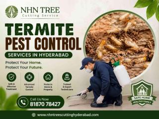Termite Pest Control Services in Hyderabad – NHN Trees Cutting Services