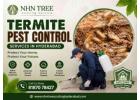 Termite Pest Control Services in Hyderabad – NHN Trees Cutting Services