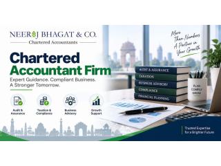 CA Firm Offering Tax and Audit Assistance in Delhi