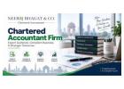 CA Firm Offering Tax and Audit Assistance in Delhi