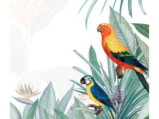 Transform Your Space with Custom Wall Murals in Perth