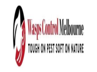 Wasp Removal Melbourne