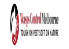 Wasp Removal Melbourne