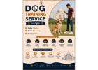 Dog Training Service